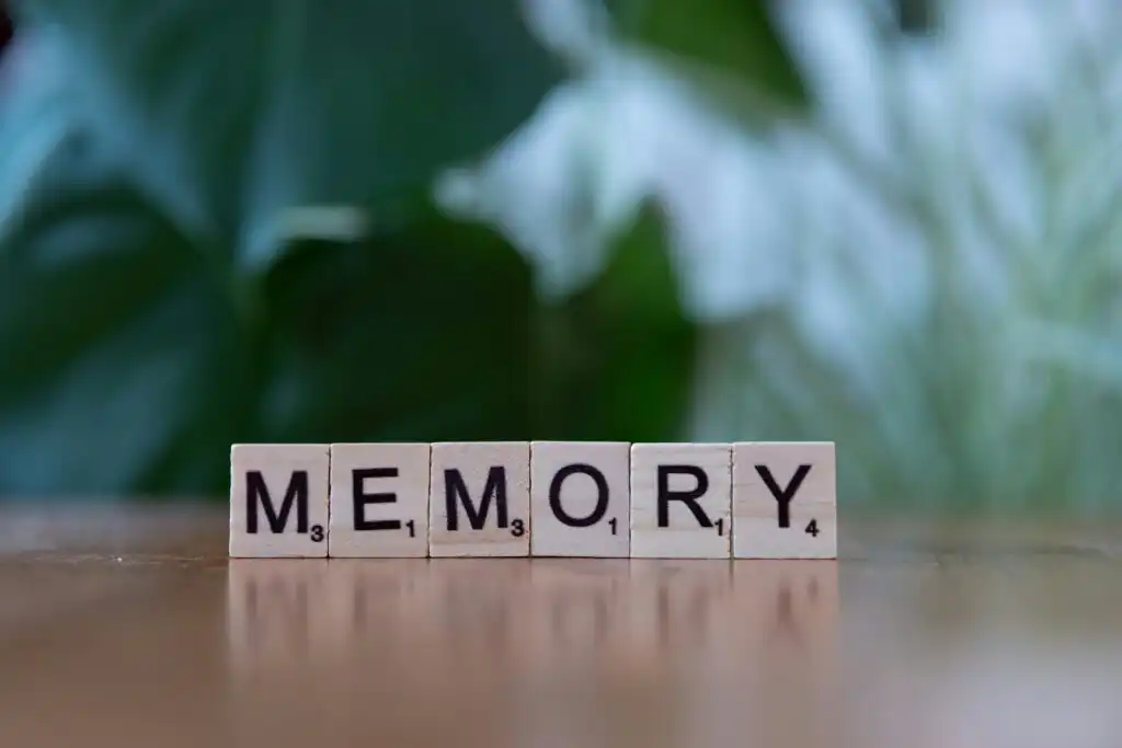 Working Memory